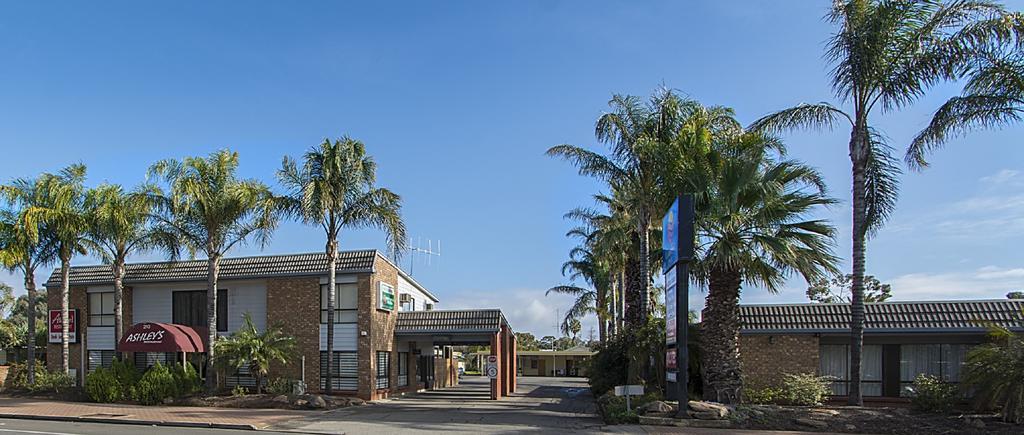 Citrus Valley Motel Renmark Dış mekan fotoğraf
