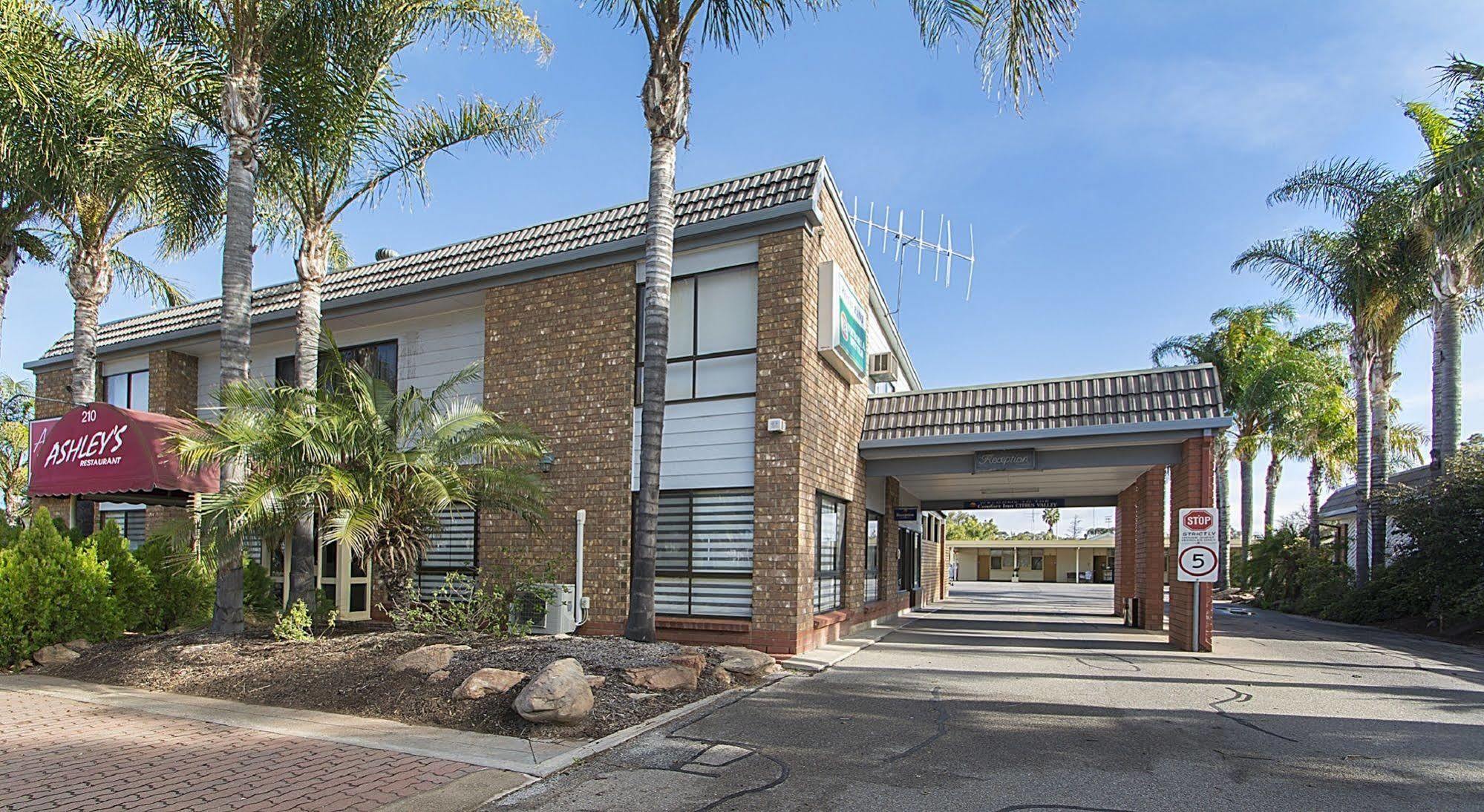 Citrus Valley Motel Renmark Dış mekan fotoğraf